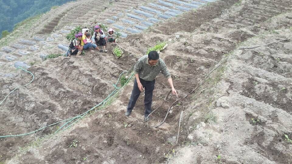 QQ图片20160510173200